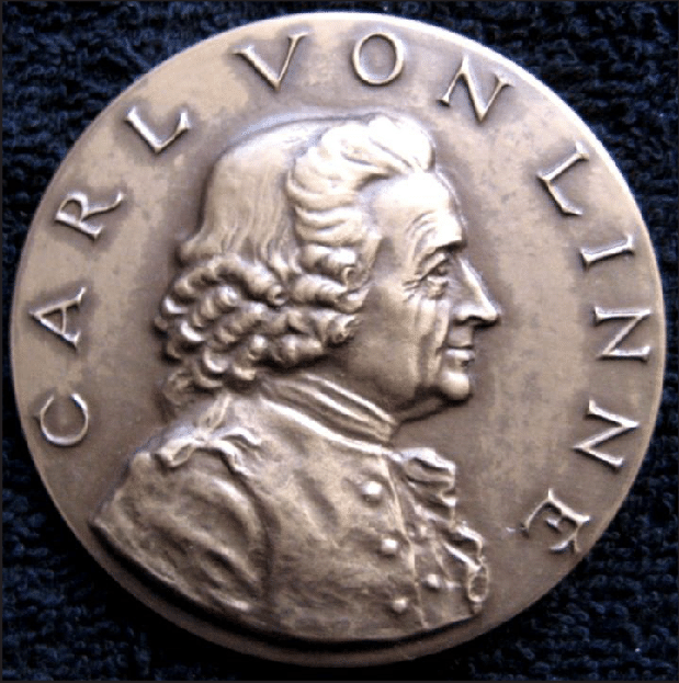 Carl Linné medal