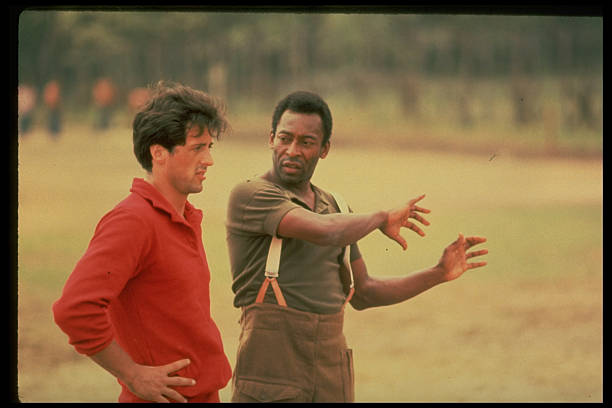 Gallery of Sylvester Stallone