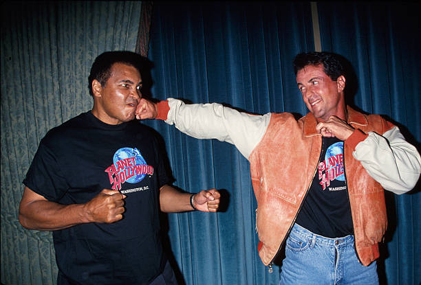 Gallery of Sylvester Stallone