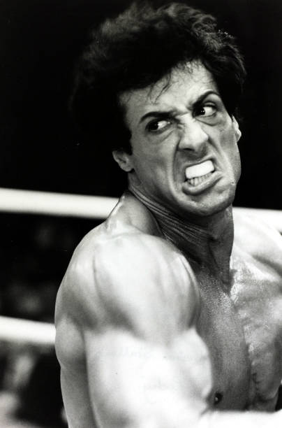 Gallery of Sylvester Stallone