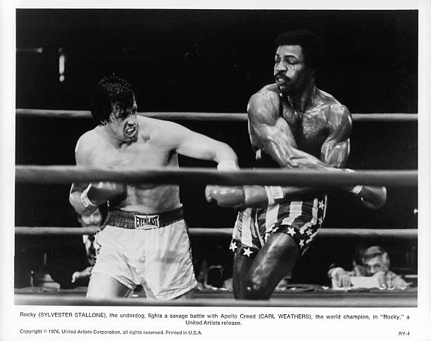 Gallery of Sylvester Stallone