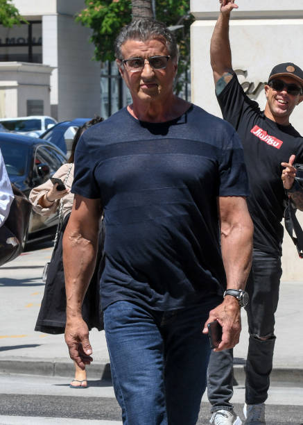 Gallery of Sylvester Stallone