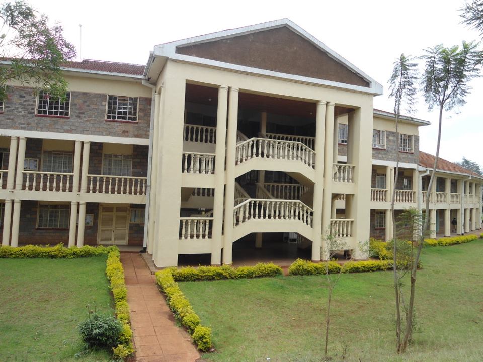 Gallery of Francis Imbuga