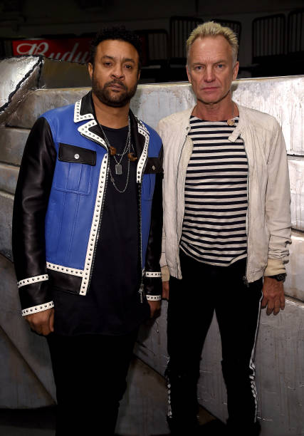 Gallery of Sting (Gordon Sumner)