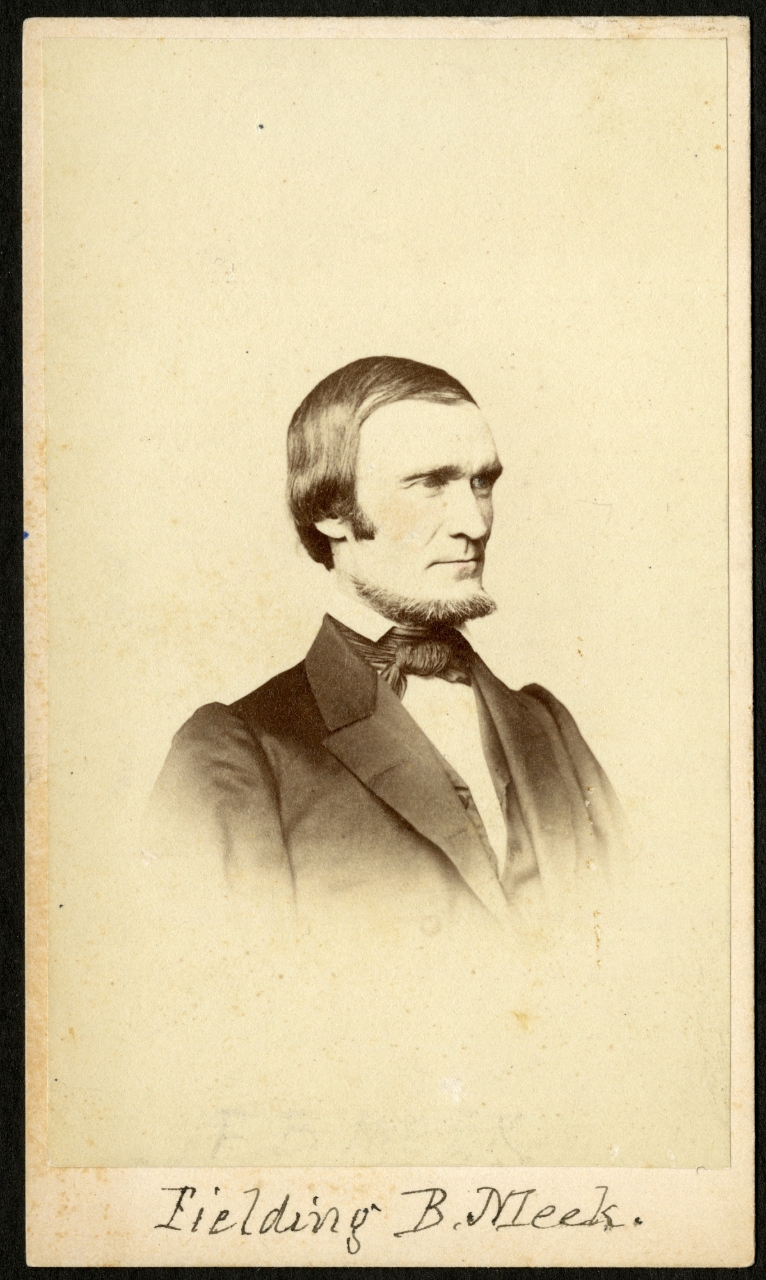 Gallery of Fielding Meek