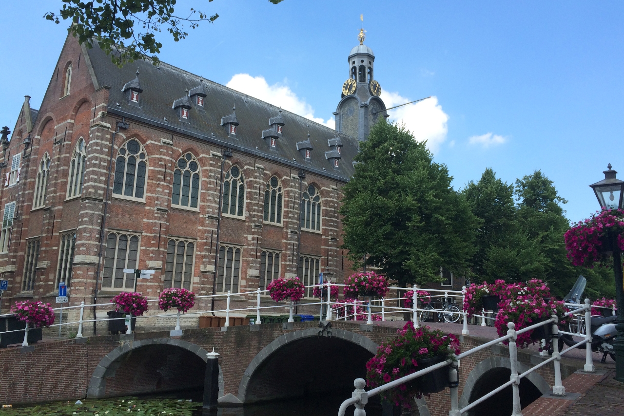Gallery of Marie Cecile Thijs