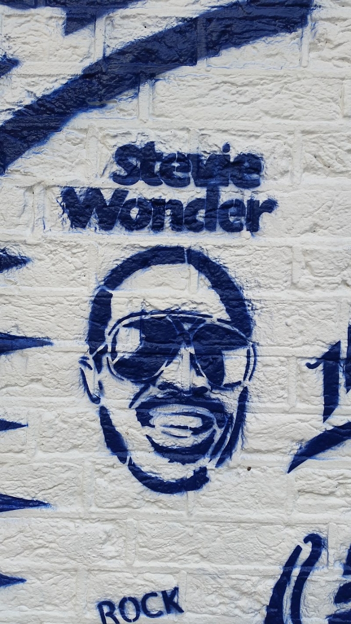 Gallery of Stevie Wonder
