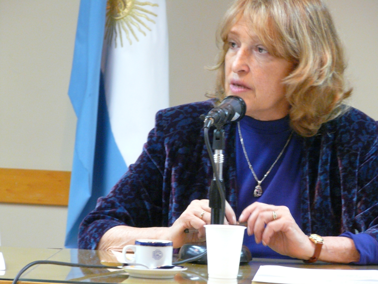 Gallery of Adriana Puiggrós