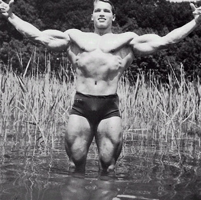 Gallery of Arnold Schwarzenegger