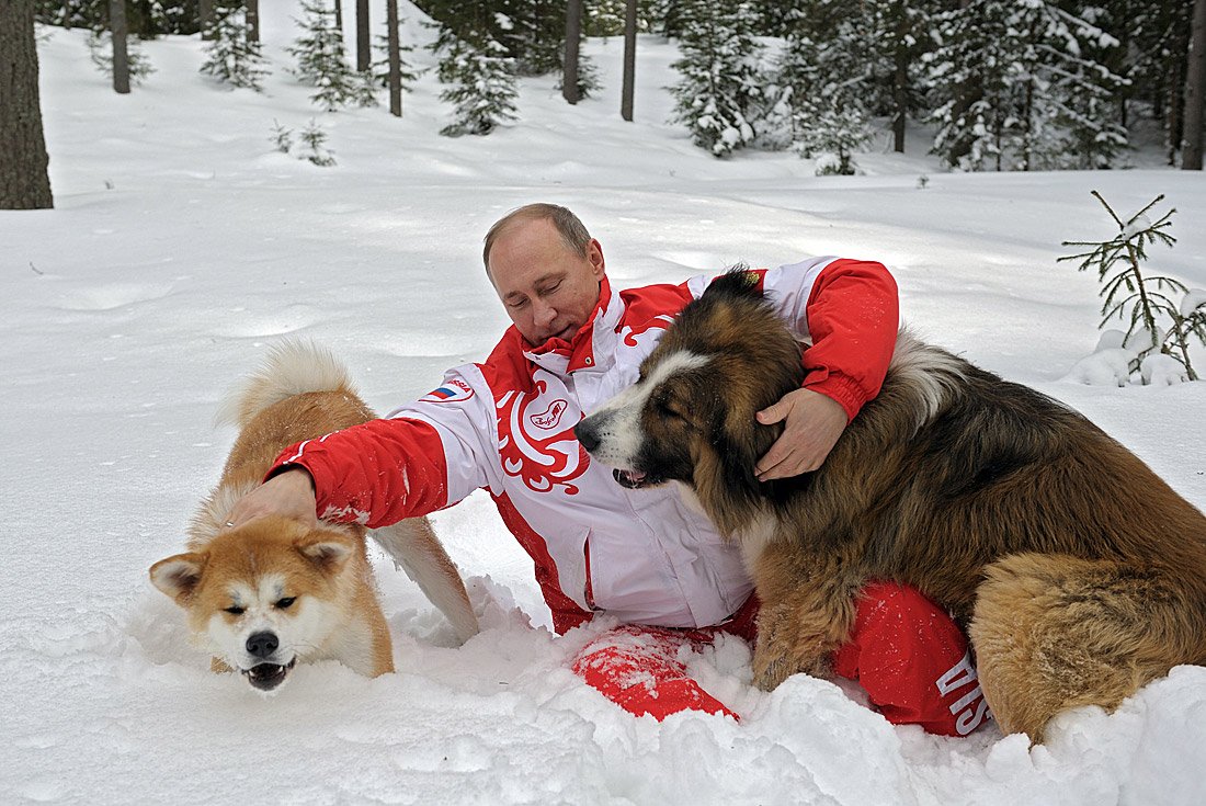 Gallery of Vladimir Putin