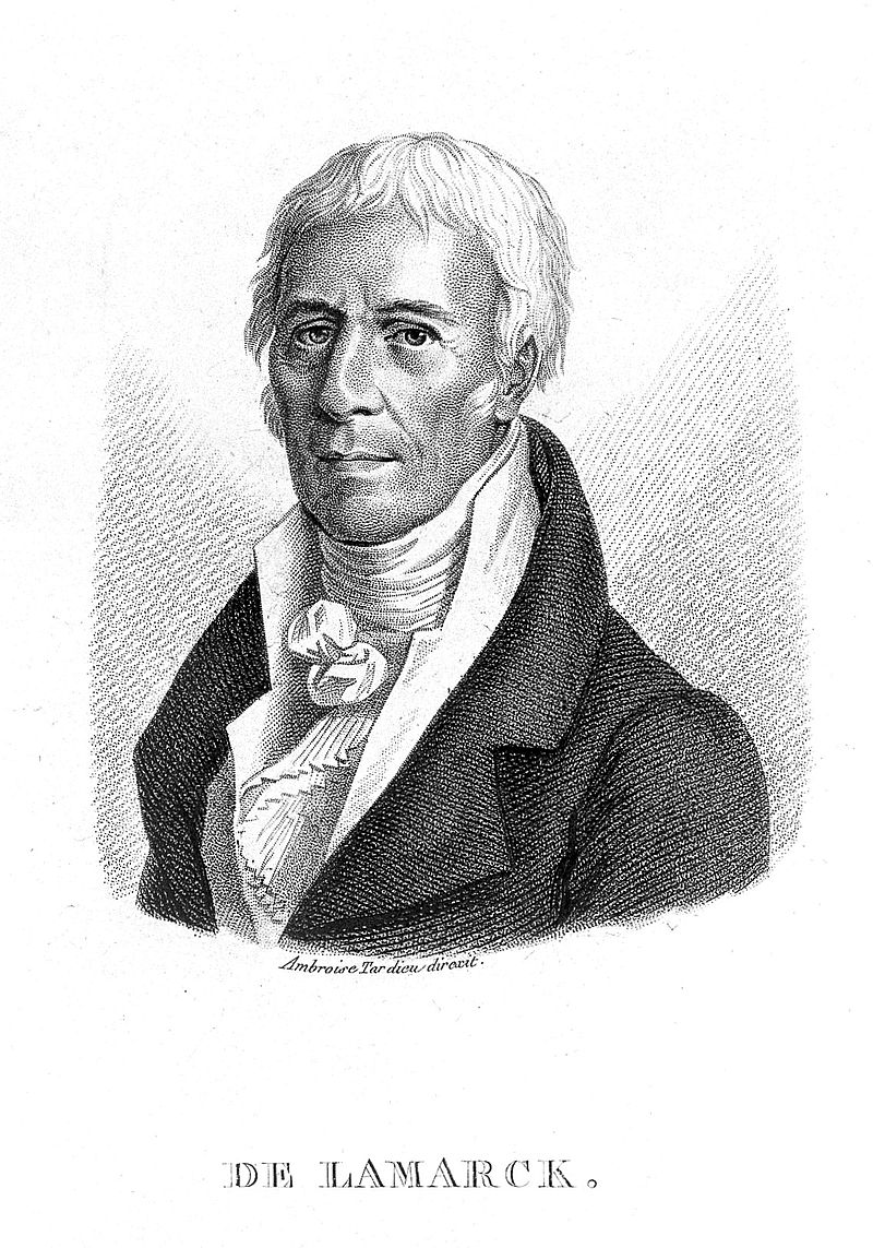 Gallery of Jean-Baptiste Lamarck