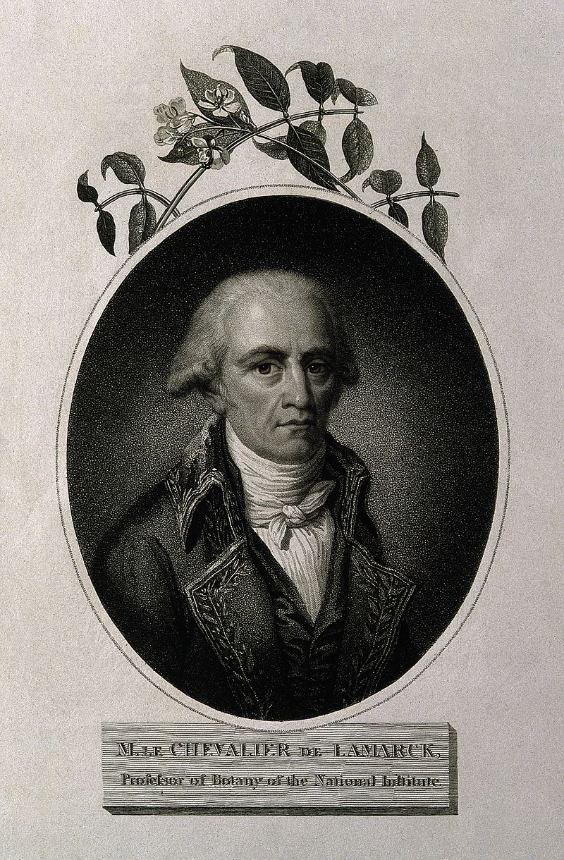 Gallery of Jean-Baptiste Lamarck