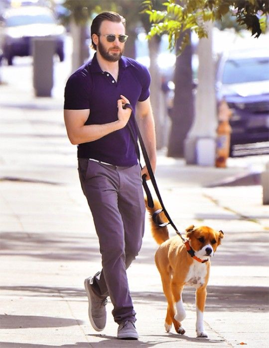 Gallery of Chris Evans
