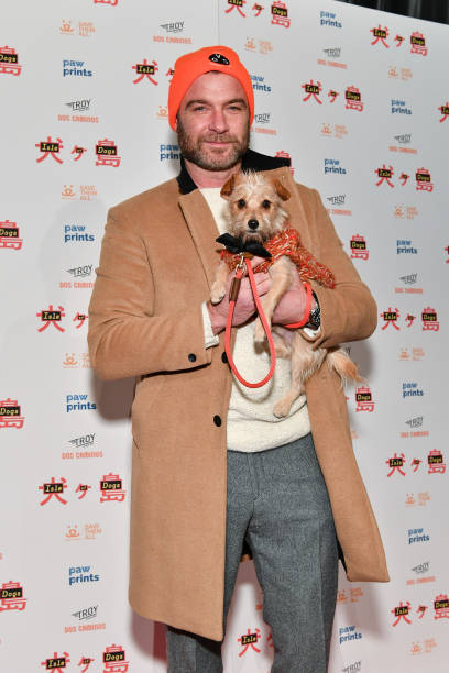 Gallery of Liev Schreiber