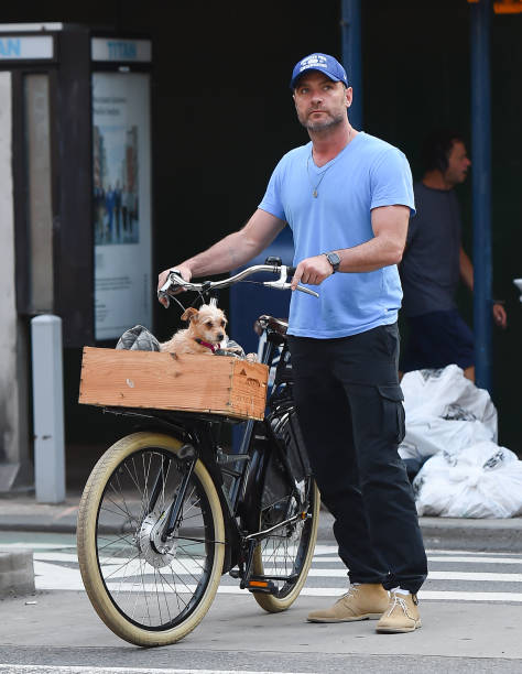 Gallery of Liev Schreiber