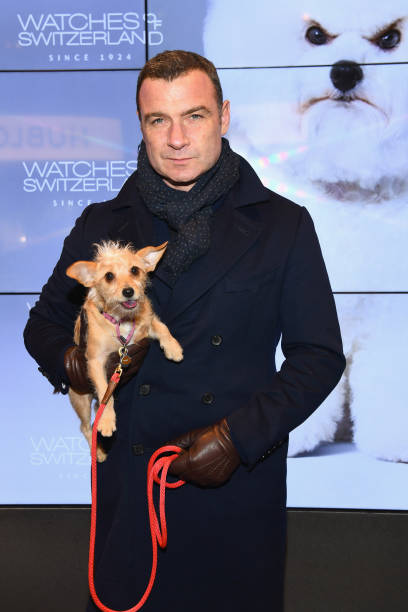 Gallery of Liev Schreiber
