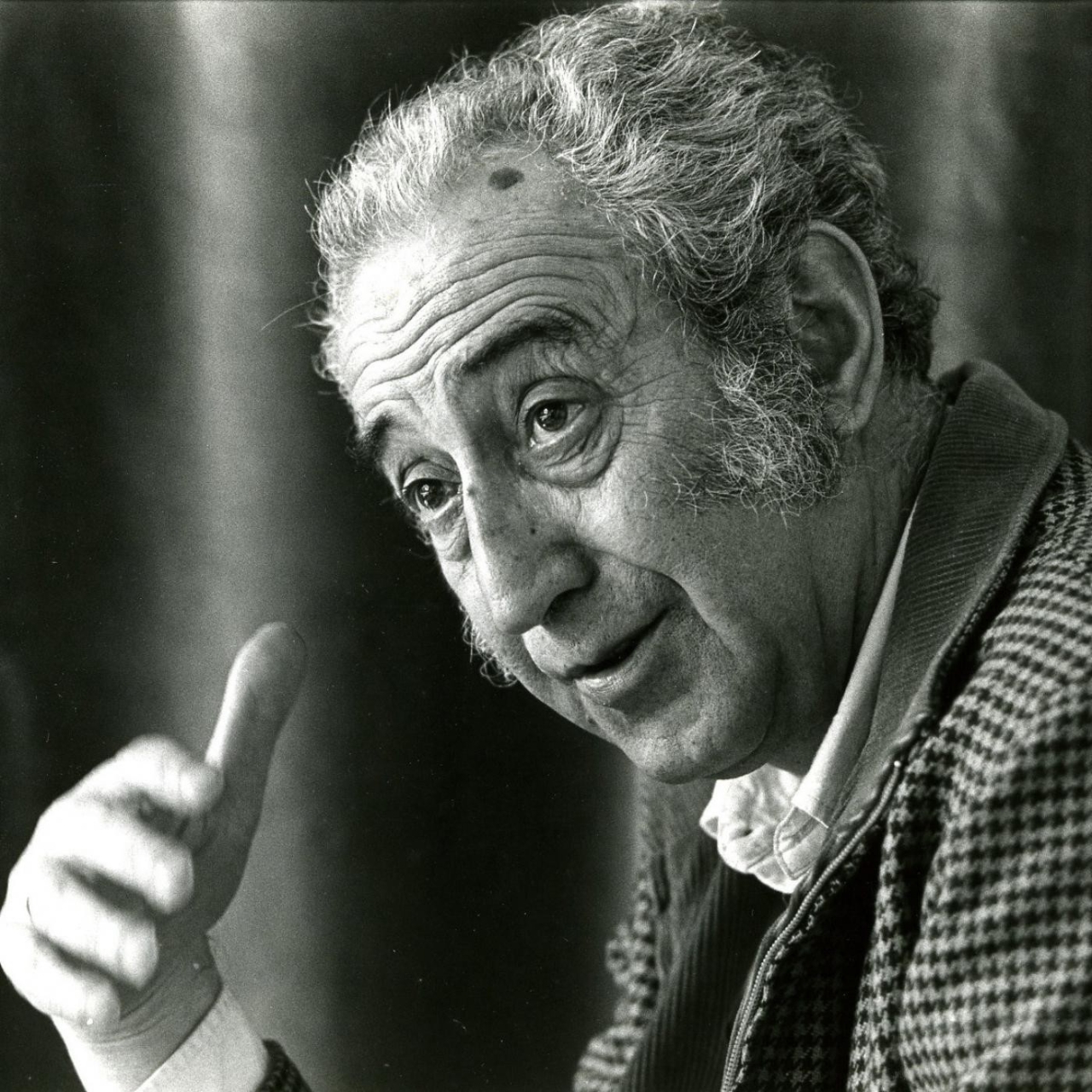 colleague: Luis Peña Ganchegui