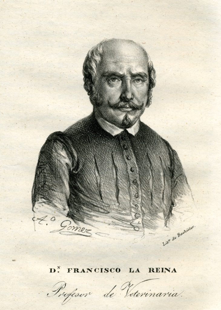 Francisco de la Reyna