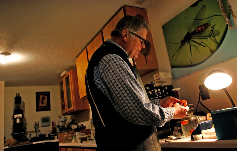 Gallery of George Poinar Jr.