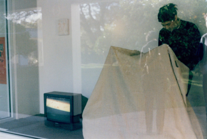 Gallery of Trevor Shimizu