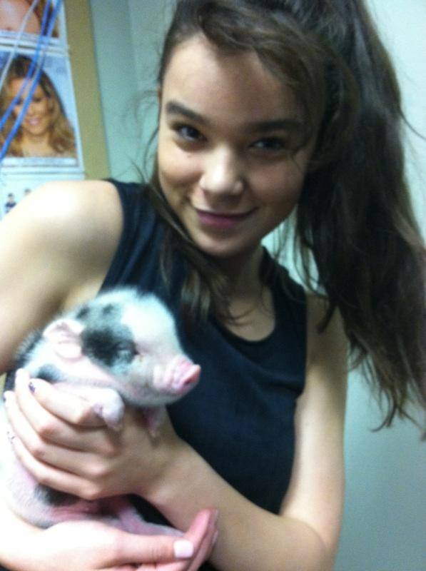 Gallery of Hailee Steinfeld