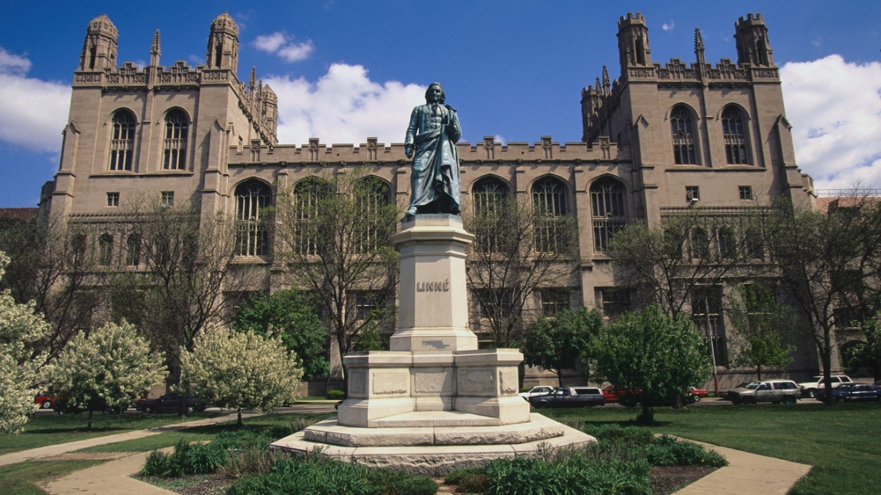Gallery of Charles Lincoln