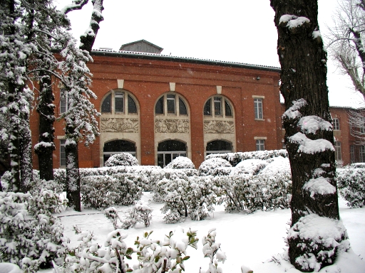 Gallery of Joan Kalbacken