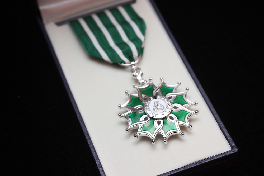 Order of Arts and Letters France Award