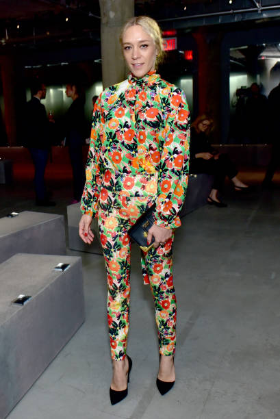 Gallery of Chloë Sevigny