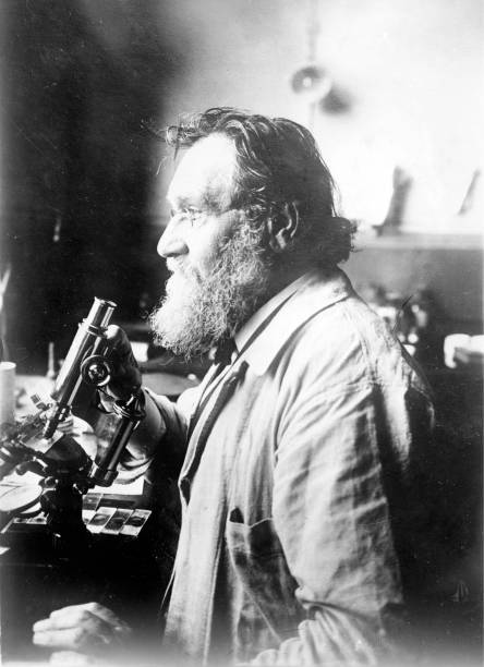 Career period of \u00C9lie Metchnikoff in career