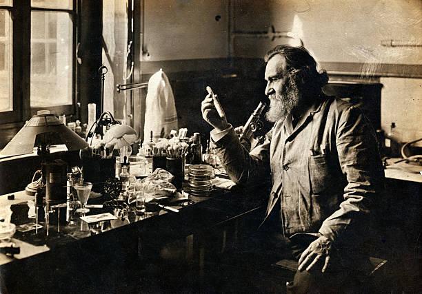 Career period of \u00C9lie Metchnikoff in career