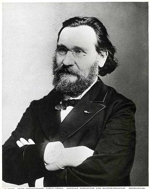 Career period of \u00C9lie Metchnikoff in career