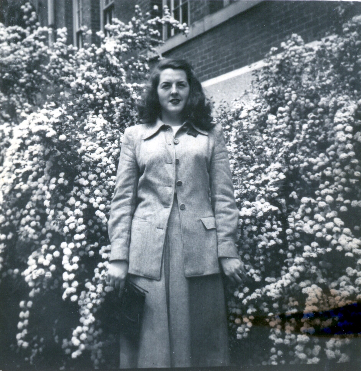 Gallery of Virginia Comley