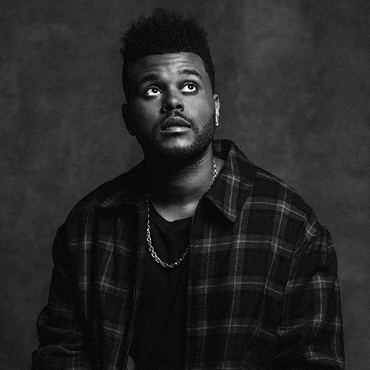 Gallery of The Weeknd (Abel Tesfaye)