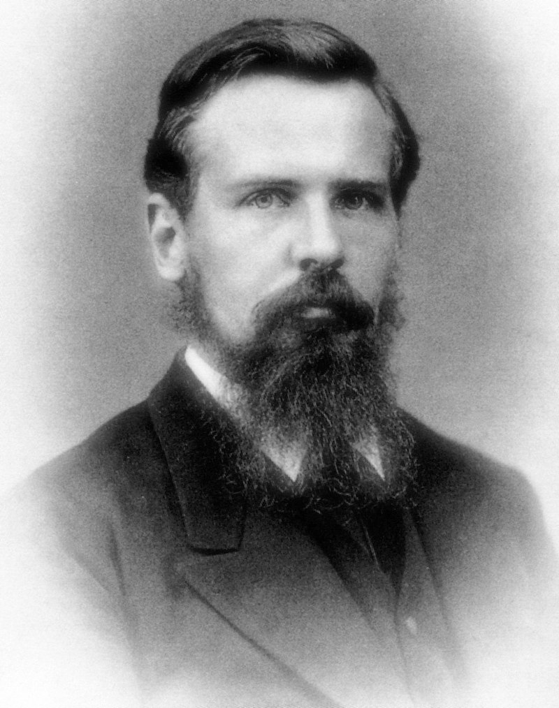 Gallery of Paul Langerhans