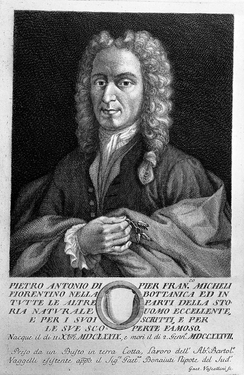 Pier Micheli
