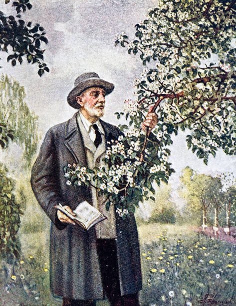 Gallery of Ivan Michurin