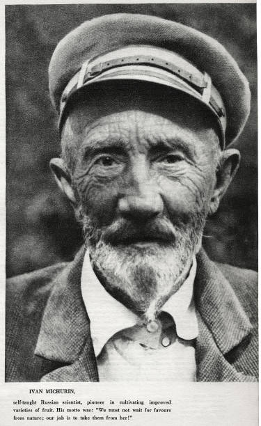 Gallery of Ivan Michurin