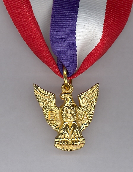 Distinguished Eagle Scout Award