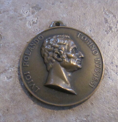 Gallery of Luigi Rolando