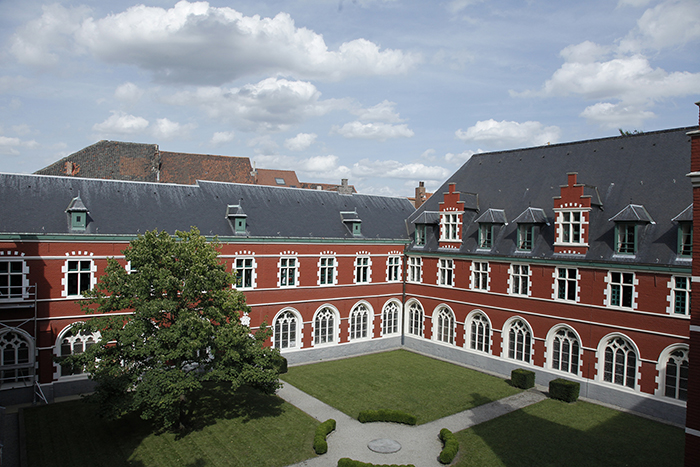 Gallery of Peter Buggenhout
