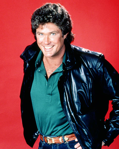 Gallery of David Hasselhoff