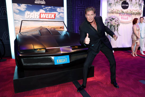Gallery of David Hasselhoff