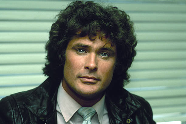 Gallery of David Hasselhoff
