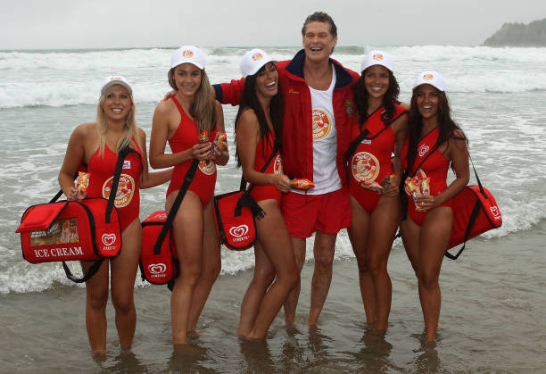 Gallery of David Hasselhoff
