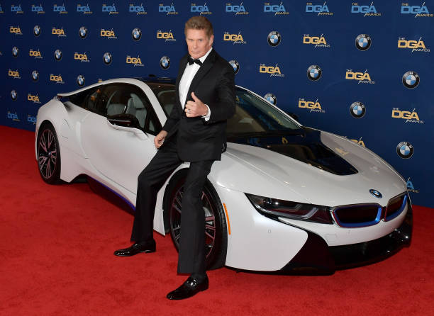 Gallery of David Hasselhoff