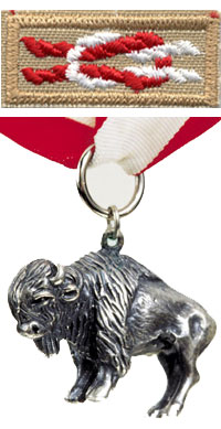 Silver Buffalo Award