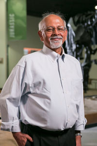Gallery of Sankar Chatterjee
