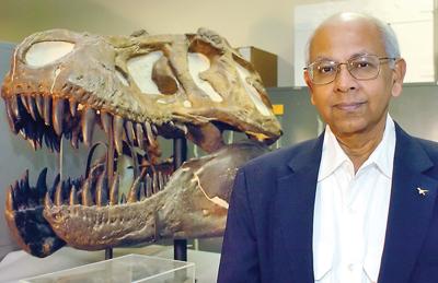 Gallery of Sankar Chatterjee