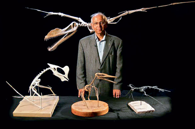 Gallery of Sankar Chatterjee